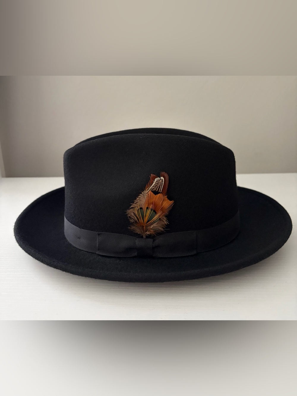 Hats in the Belfry Black Felt Fedora Hat with Feather Trim